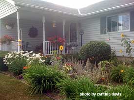 Porch Landscaping Ideas for Your Front Yard and More