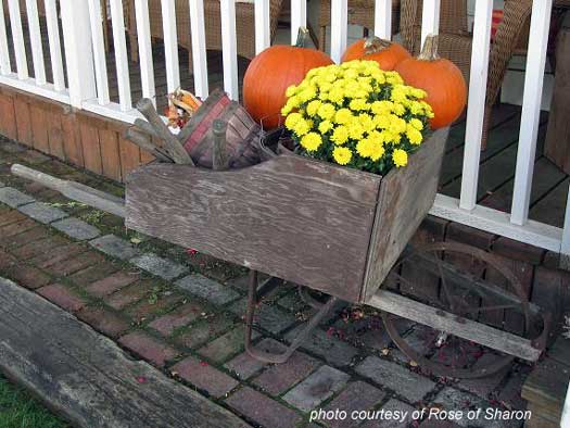 an autumn wheelbarrow display