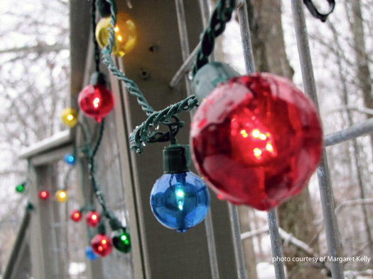 Outdoor Christmas lights adorn home