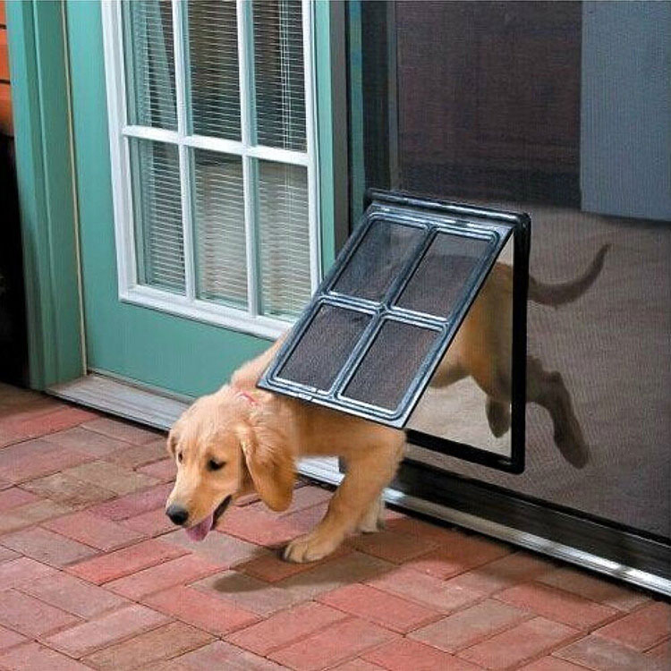 Wood Screen Door With Doggie Door at Juanita Woods blog