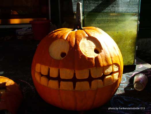 Use Pumpkin Photos for Creative Carving Ideas