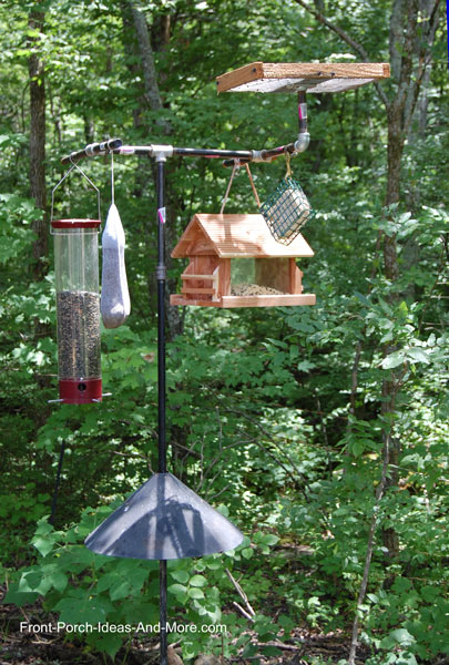 Wild Bird Feeding Station | Backyard Bird Feeding | Front Yard Landscaping