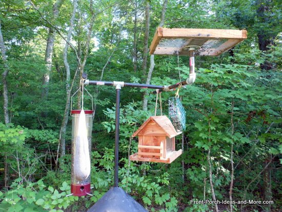 Wild Bird Feeding Station | Backyard Bird Feeding | Front Yard Landscaping