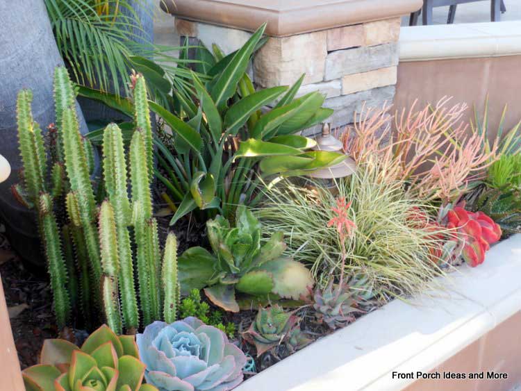 Colorful succulents surroud a porch