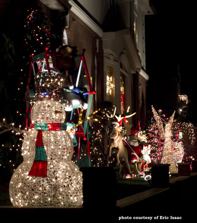 Outdoor Christmas Light Display Ideas