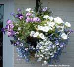 Porch Landscaping Ideas For Your Front Yard And More